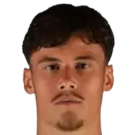 Mile Svilar, Goalkeeper at Roma
