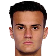 Aleksandar Stanković, Defensive Midfield at Internazionale